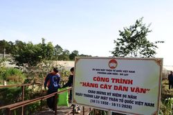 Phường L&acirc;m Vi&ecirc;n - Đ&agrave; Lạt trồng c&acirc;y xanh, l&agrave;m sạch tuyến suối đường Hồ Xu&acirc;n Hương