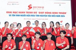 Hạt giống xanh