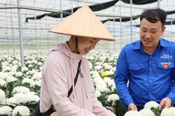 Từ Nghị quyết đến một thế hệ doanh nh&acirc;n mới L&acirc;m Đồng