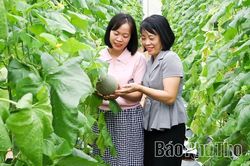 Khơi &ldquo;d&ograve;ng chảy&rdquo; c&ocirc;ng nghệ cho c&aacute;c mục ti&ecirc;u ph&aacute;t triển