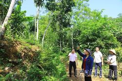 Nguồn vốn t&iacute;n dụng tạo sinh kế vững chắc cho người d&acirc;n v&ugrave;ng cao