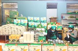 Triển vọng x&acirc;y dựng sản phẩm OCOP tại c&aacute;c x&atilde; v&ugrave;ng cao