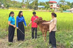 H&agrave;nh tr&igrave;nh gắn kết tuổi trẻ từ việc gần d&acirc;n