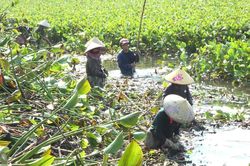 Quảng Trị: Khẩn cấp xử l&yacute; nạn b&egrave;o t&acirc;y phủ k&iacute;n s&ocirc;ng H&oacute;i Trường