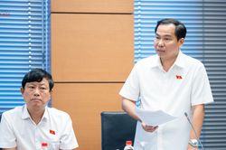 Tăng cường li&ecirc;n kết doanh nghiệp FDI với doanh nghiệp trong nước