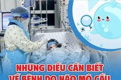 Những điều cần biết về bệnh do n&atilde;o m&ocirc; cầu