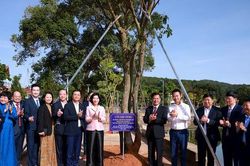 Nghĩa t&igrave;nh thủy chung, son sắt H&agrave; Nội - L&acirc;m Đồng
