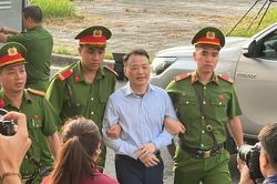 Clip: Dẫn giải 'Shark' B&igrave;nh ra t&ograve;a trong vụ '&ocirc;ng tr&ugrave;m' lừa đảo Mr Pips