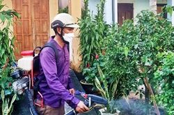 Gia Lai: Phát sinh 659 ca sốt xuất huyết chỉ trong một tuần
