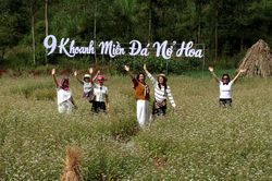 Bảo đảm an to&agrave;n tr&ecirc;n tuyến đường l&ecirc;n cao nguy&ecirc;n đ&aacute; m&ugrave;a Lễ hội Hoa Tam gi&aacute;c mạch 2026