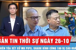 Bản tin thời sự ng&agrave;y 26-10: X&eacute;t xử Mr Pips, Shark B&igrave;nh c&ugrave;ng 186 bị c&aacute;o kh&aacute;c