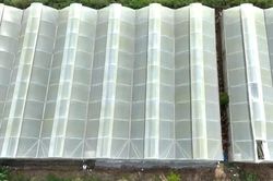 Những tỷ ph&uacute; n&ocirc;ng d&acirc;n đổi đời nhờ n&ocirc;ng nghiệp c&ocirc;ng nghệ cao ở TPHCM