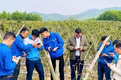 Chuyển đổi số ở c&aacute;c bản l&agrave;ng c&oacute; thể bắt đầu từ một việc m&agrave; b&agrave; con đang cần