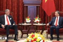 Việt Nam th&uacute;c đẩy quan hệ hữu nghị, hợp t&aacute;c với Cộng h&ograve;a Dominica