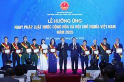 Nữ họa sĩ Đặng &Aacute;i Việt nhận Bằng khen của Hội Li&ecirc;n hiệp phụ nữ TPHCM