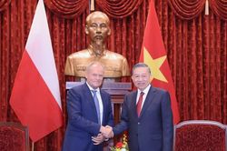 Việt Nam - Ba Lan tạo động lực mới cho hợp tác sau nâng cấp quan hệ
