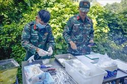 Điện Bi&ecirc;n thu nhận 81 mẫu ADN th&acirc;n nh&acirc;n liệt sĩ đợt 2 năm 2026