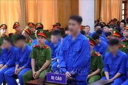 Tiếp tục xét xử vụ án Mr Pips và 187 đồng phạm