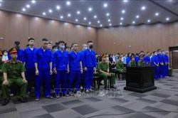 Vụ &aacute;n Mr Pips: Hệ thống ho&agrave;n hảo chiếm đoạt tiền của kh&aacute;ch h&agrave;ng