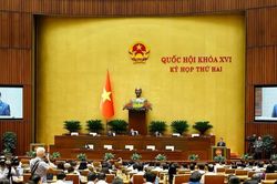 Ph&acirc;n định r&otilde; ranh giới, tr&aacute;nh chồng ch&eacute;o với c&aacute;c luật chuy&ecirc;n ng&agrave;nh