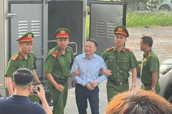 Shark Bình tươi cười đến tòa, Mr Pips xuất hiện với diện mạo khác trước