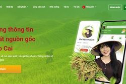 L&agrave;o Cai ứng dụng c&ocirc;ng nghệ truy xuất nguồn gốc điện tử cho 612 d&ograve;ng sản phẩm