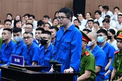 X&eacute;t xử Mr Pips, Shark B&igrave;nh: Gần 1.500 người được triệu tập