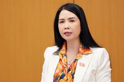 Dự &aacute;n Luật Xử l&yacute; vi phạm h&agrave;nh ch&iacute;nh (sửa đổi): Cần l&agrave;m r&otilde; căn cứ k&eacute;o d&agrave;i thời hiệu xử phạt