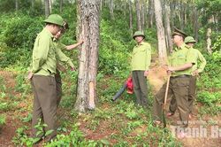 Chủ động phòng cháy, chữa cháy rừng mùa khô hanh