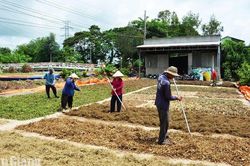 An Giang: Những tấm lòng thiện nguyện góp sức vì bệnh nhân nghèo