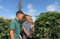 Những người trẻ l&agrave;m mới qu&ecirc; hương