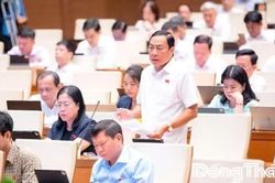 Đại biểu Quốc hội tỉnh Đồng Th&aacute;p t&iacute;ch cực thảo luận, g&oacute;p &yacute; ho&agrave;n thiện c&aacute;c dự thảo luật