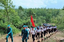 Từ c&ocirc;ng sự, trận địa đến t&igrave;nh y&ecirc;u qu&ecirc; hương