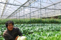 Thúc đẩy sản xuất phát thải thấp