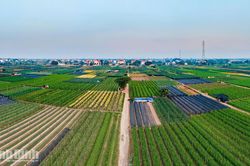 "Đánh thức" tiềm năng, nâng giá trị vùng đất bãi ven sông