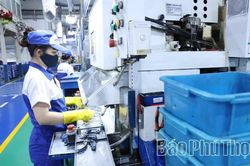 N&acirc;ng cao gi&aacute; trị h&agrave;ng h&oacute;a xuất khẩu