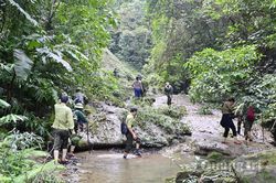 'Canh giữ' rừng trong mùa mưa lũ