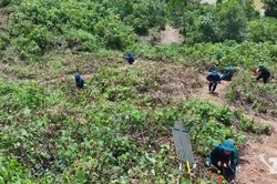 N&acirc;ng cao năng lực ph&ograve;ng thủ từ diễn tập cấp x&atilde;
