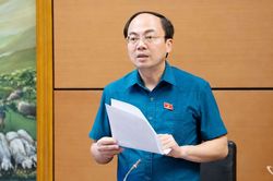 Đại biểu Quốc hội tỉnh Th&aacute;i Nguy&ecirc;n g&oacute;p &yacute; c&aacute;c dự &aacute;n luật về an ninh, an to&agrave;n