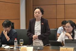 ĐBQH: C&acirc;n nhắc t&iacute;nh hợp l&yacute; mức xử phạt h&agrave;nh ch&iacute;nh tối đa 1,5 tỷ đồng với c&aacute; nh&acirc;n