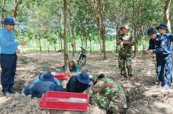 TP. Đồng Nai: T&igrave;m kiếm, quy tập 142 h&agrave;i cốt liệt sĩ