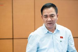 N&acirc;ng mức phạt vi phạm h&agrave;nh ch&iacute;nh - cần nh&igrave;n nhận thấu đ&aacute;o từ g&oacute;c độ chấp h&agrave;nh v&agrave; thực thi ph&aacute;p luật