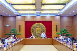 Ho&agrave;n thiện chế t&agrave;i, đảm bảo t&iacute;nh thống nhất trong xử l&yacute; vi phạm h&agrave;nh ch&iacute;nh