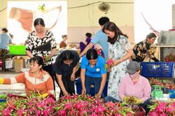 Bước chuyển mình trong sản xuất của phụ nữ Đơn Dương: Từ tổ liên kết đến HTX rau sạch