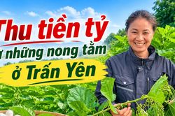 Thu tiền tỷ từ những nong tằm ở Trấn Y&ecirc;n