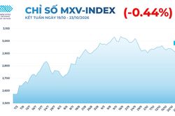 Thị trường hàng hóa: MXV-Index tiếp tục giằng co trên vùng 2.900 điểm