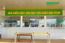 Kiến nghị đầu tư hạ tầng, phát huy tiềm năng thương mại biên giới Việt Nam – Campuchia
