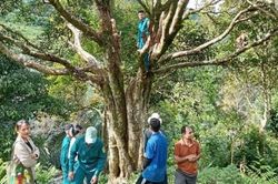 Đà Nẵng: Xã Trà Vân phát triển sinh kế từ nông lâm nghiệp bền vững