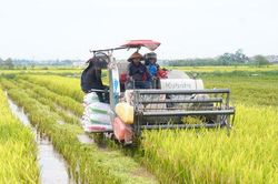 Nâng giá trị cho vùng lúa Hà Nội bằng cơ giới hóa