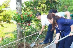 H&agrave; Nội chủ động bảo vệ m&ocirc;i trường, ứng ph&oacute; với biến đổi kh&iacute; hậu